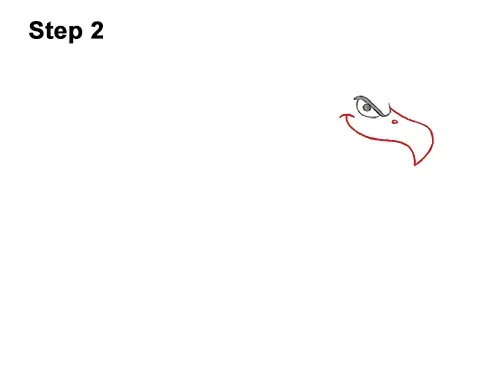 How to Draw a Cool Cartoon Vulture Condor Buzzard 2