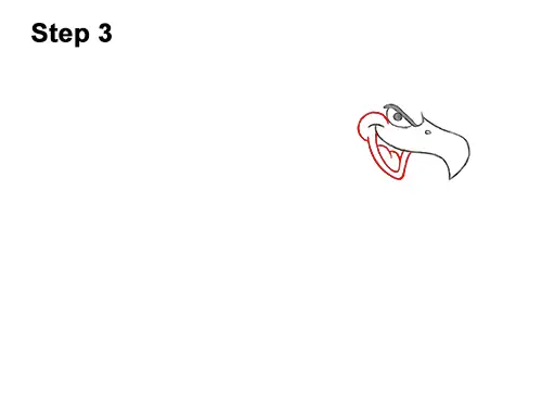How to Draw a Cool Cartoon Vulture Condor Buzzard 3