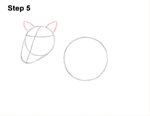 How to Draw a Common Warthog Pig 5