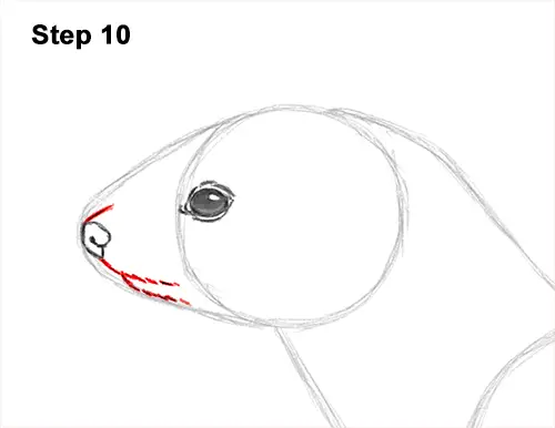 How to Draw a Common Least Weasel 10