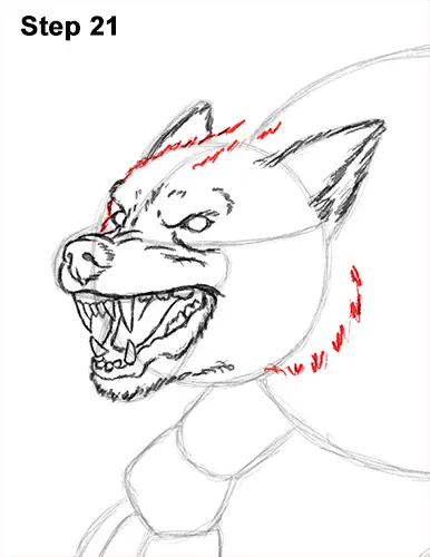 How to Draw Growling Snarling Scary Angry Werewolf 21