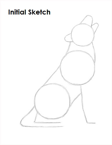 Howling Wolf Sketch Draw Wolf Howling Sketch