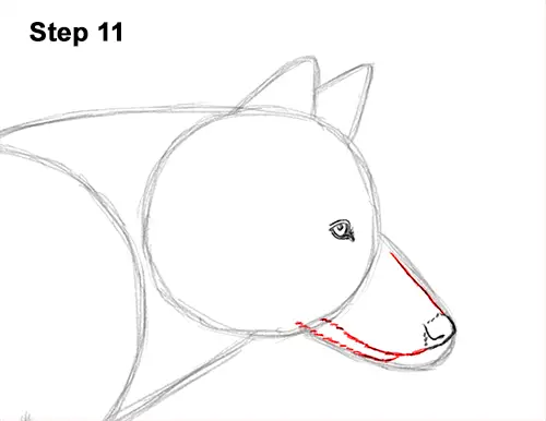 How to Draw a Wolf (Running) VIDEO & Step-by-Step Pictures