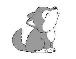 How to draw a cute Gray Wolf Howling cartoon Chibi Kawaii