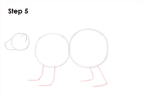 Wolverine 5 Draw Wolverine 5