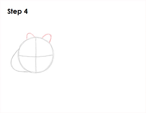 Wombat 4 Draw Wombat 4