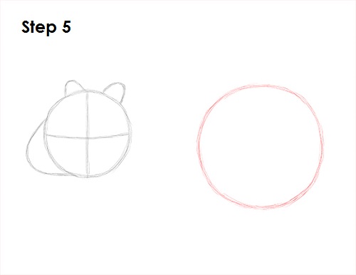 Wombat 5 Draw Wombat 5