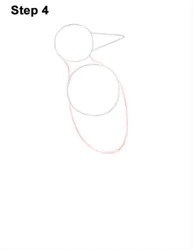 Draw Pileated Woodpecker 4