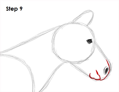 Zebra Drawing 9 Draw Zebra 9