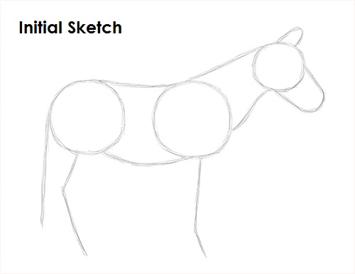 Zebra Drawing Sketch Draw Zebra Sketch