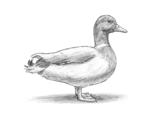 How to Draw a Duck