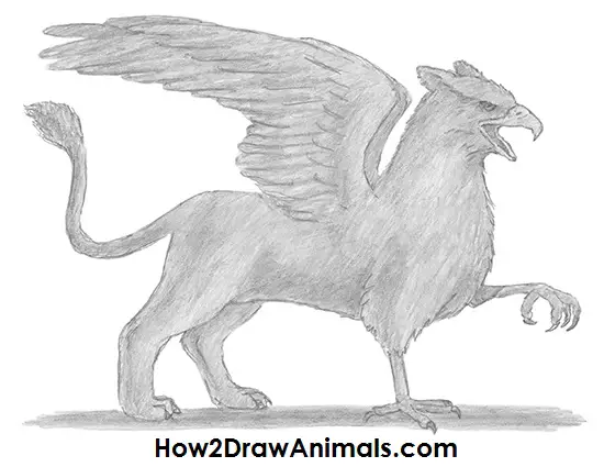 How to Draw a Griffin