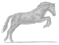 How to Draw a Horse Jumping