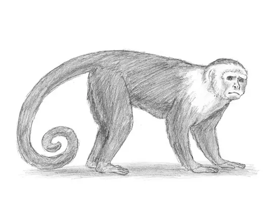 How to Draw a Monkey