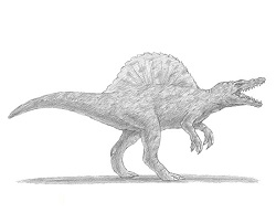 How to Draw a Spinosaurus Dinosaur
