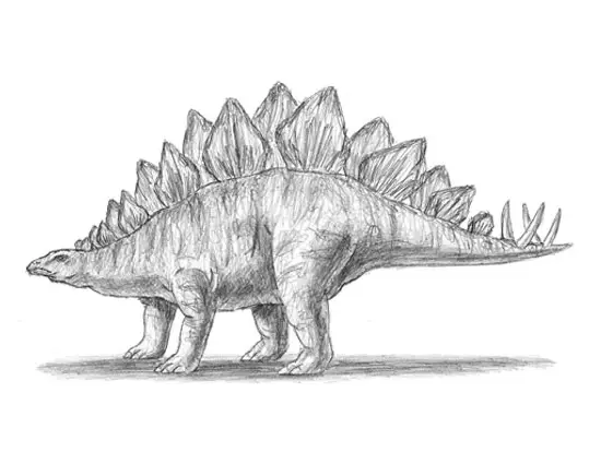 How to Draw a Stegosaurus