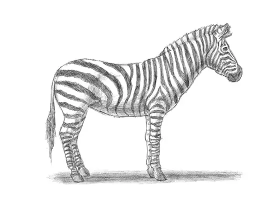 How to Draw a Zebra